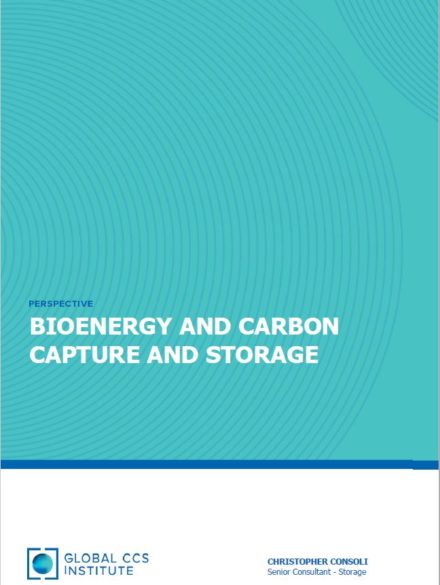 Bioenergy and Carbon Capture and Storage