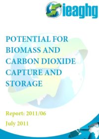 Potential for biomass and carbon dioxide capture and storage