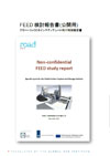 FEED 検討報告書(公開用) グローバルＣＣＳインスティテュート向け特別報告書
