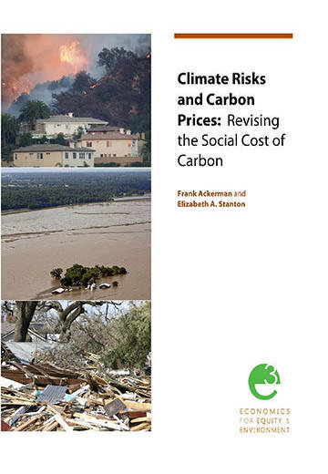 Climate risks and carbon prices: Revising the social costs of carbon
