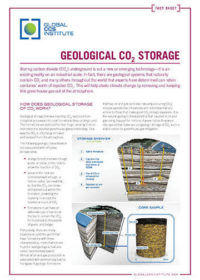 Geological CO2 storage