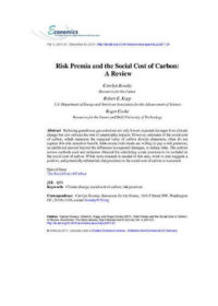 Risk premia and the social cost of carbon: a review