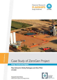 Case study of ZeroGen Project