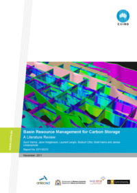 Basin resource management for carbon storage: a literature review