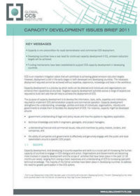 Capacity development issues brief 2011