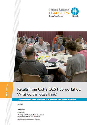 Results from Collie CCS Hub workshop: what do the locals think?