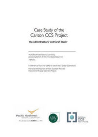 Case study of the Carson CCS Project