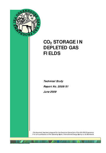 CO2 storage in depleted gas fields