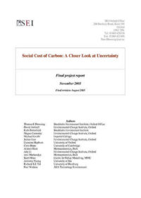 Social cost of carbon: a closer look at uncertainty