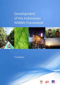Development of the Indonesian NAMAs framework