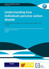 Understanding how individuals perceive carbon dioxide: implications for acceptance of carbon dioxide capture and storage