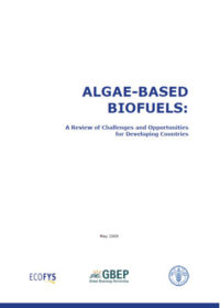 Algae-based biofuels: a review of challenges and opportunities for developing countries