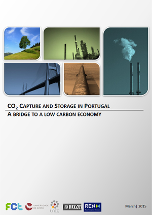 CO2 capture and storage in Portugal: a bridge to a low carbon economy
