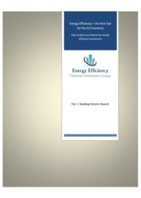 Energy efficiency – the first fuel for the EU economy: how to drive new finance for energy efficiency investments. Part 1: buildings (interim report)