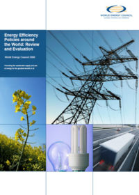 Energy efficiency policies around the world: review and evaluation