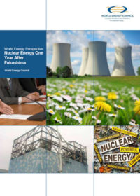 World energy perspective: nuclear energy one year after Fukushima