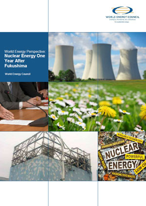 World energy perspective: nuclear energy one year after Fukushima