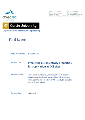 Predicting CO2 injectivity properties for application at CCS sites: final report