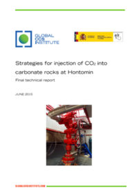 Strategies for injection of CO2 into carbonate rocks at Hontomin: final technical report