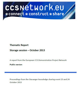 Thematic report: Storage session October 2013