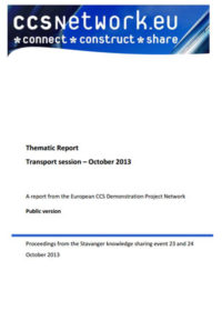 Thematic report. Transport session: October 2013