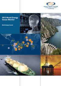 2013 world energy issues monitor
