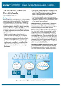 The importance of flexible electricity supply
