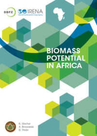 Biomass potential in Africa