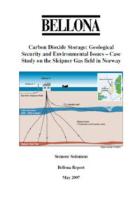 Carbon dioxide storage: geological security and environmental issues. Case study on the Sleipner gas field in Norway