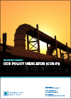CCS Policy Indicator (CCS-PI)