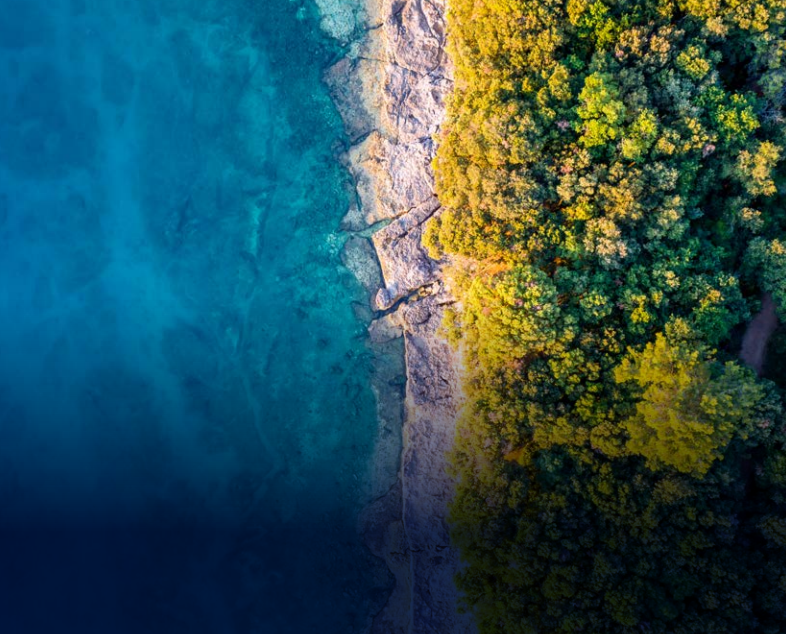 Scaling up the CCS Market to Deliver Net-Zero Emissions