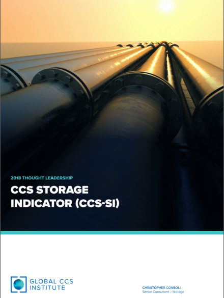 CCS Storage Indicator (CCS-SI)