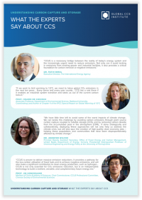 What the Experts Say About CCS (Factsheet)