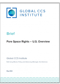Pore Space Rights - U.S. Overview