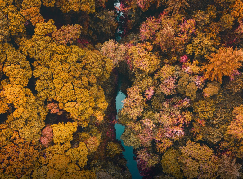 CCS in Germany’s Decarbonisation Pathway: State of Play and Way Forward