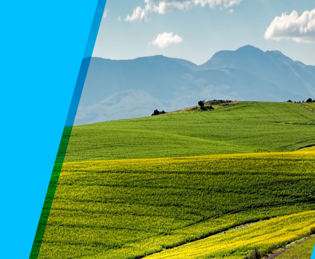 CCUS in the Indian Cement Industry: A Review of CO2 Hubs and Storage Facilities