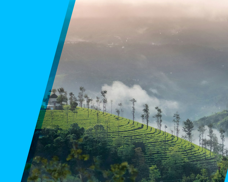 CCUS in the Indian Cement Industry: Policy and Financing Frameworks