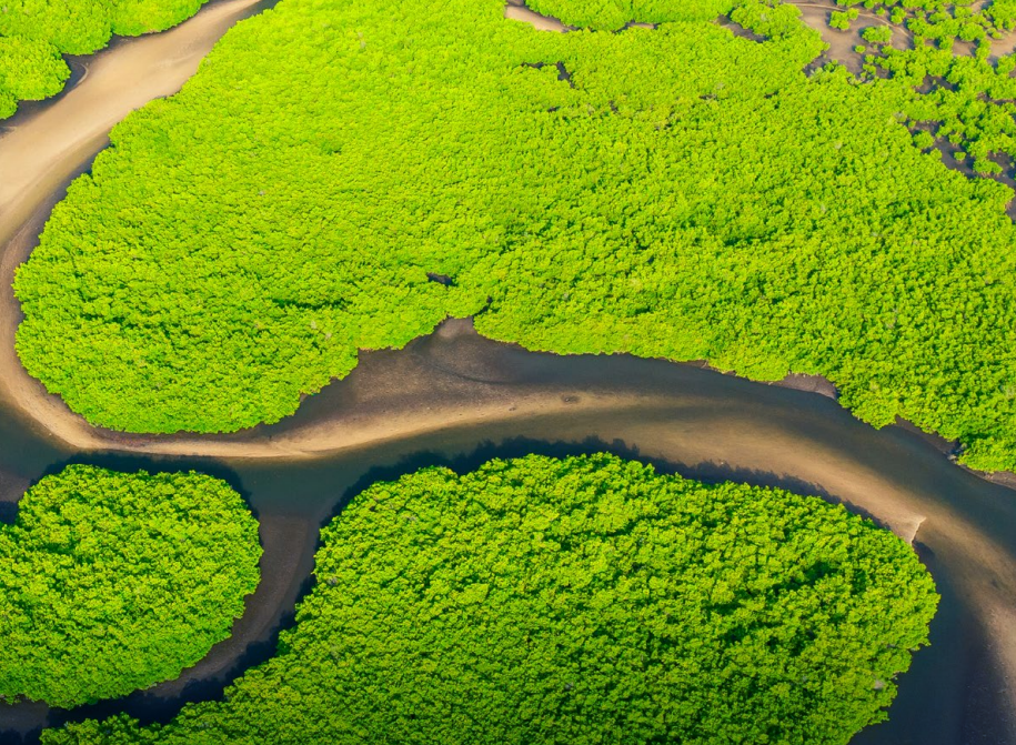 Carbon Management In NDCs: Collation, Assessment and a Path Forward