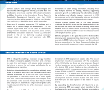 Factsheet: The Economy Wide Value of CCS
