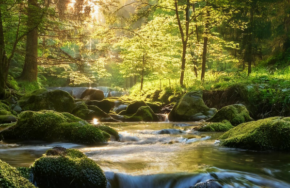 Long-term Stewardship and Liability: A Balanced Approach to Legal Certainty and Site Transfer for Geologic CO2 Storage