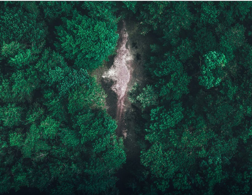 Policy Recommendations For Achieving CO2 Geological Storage With Environmental Integrity In China