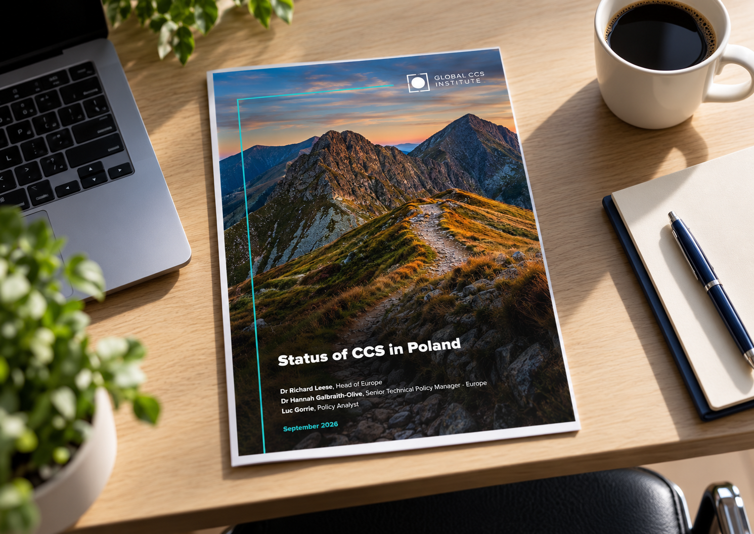 Status of CCS in Poland