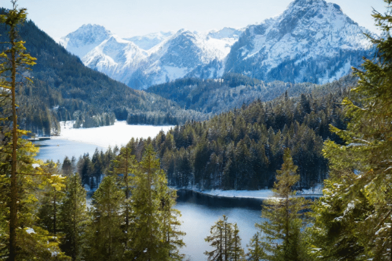 CCS 101 – Carbon Contracts for Differences (CCfDs) in Europe