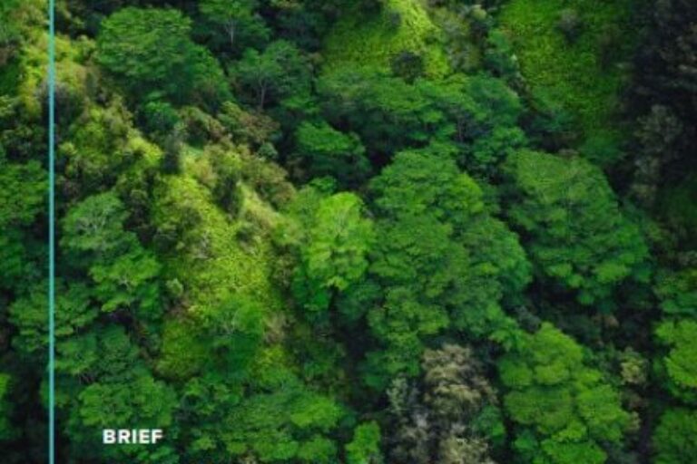 簡易報告書：COP28に向けた CCSのマイルストーン