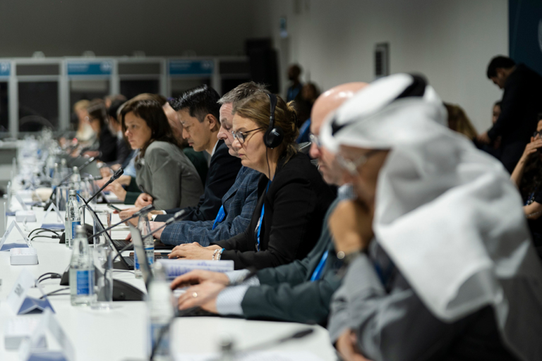 UNFCCC & COP Engagement